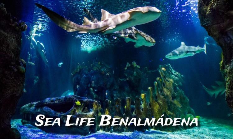 Benalbeach Loft 베날마데나코스타 외부 사진